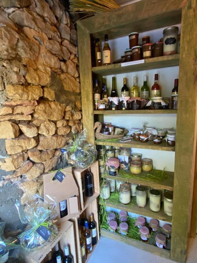 Le Bonheur Dans Notre Pre Villa Sainte-Mondane Екстериор снимка
